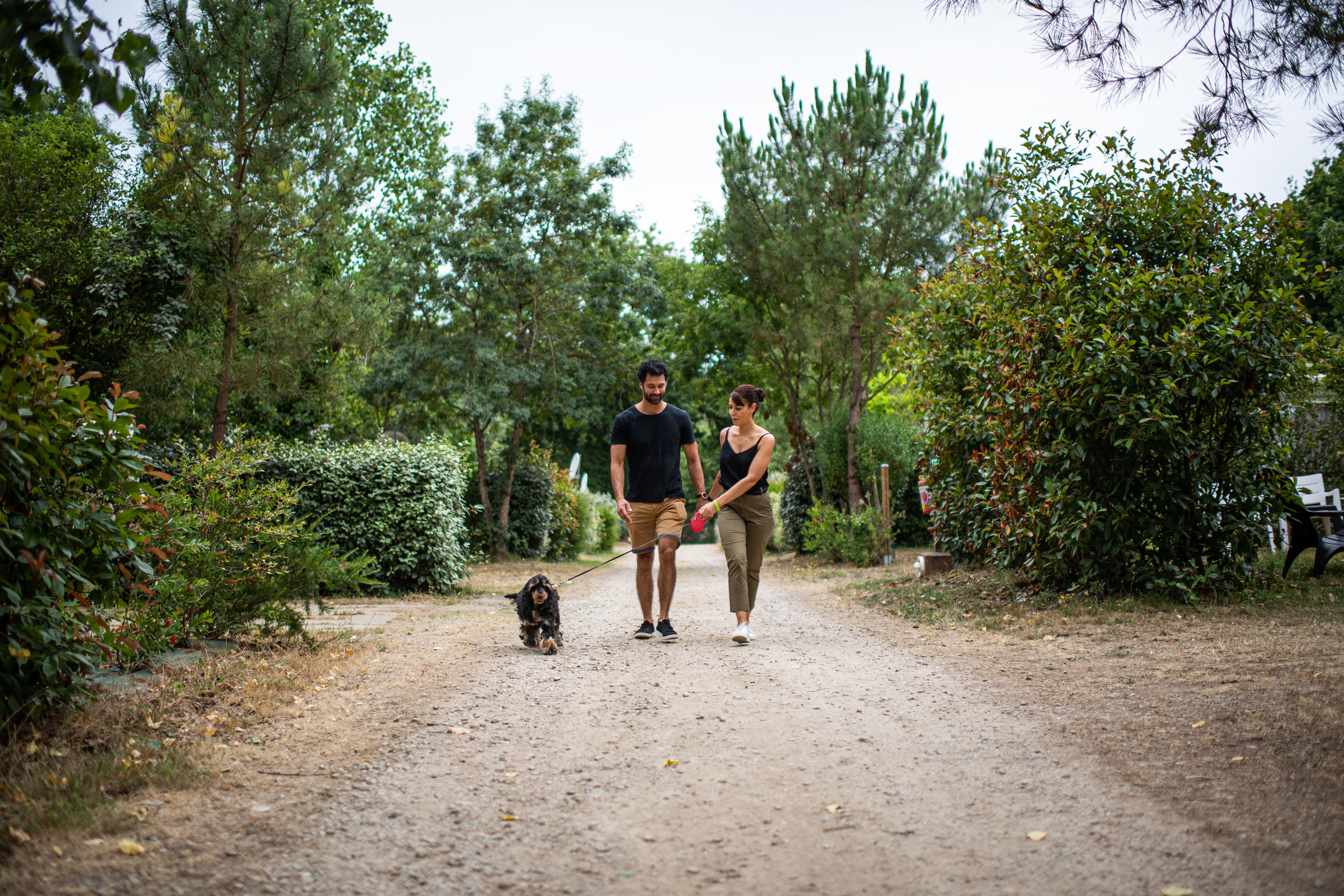 Camping Vendée animaux autorisés