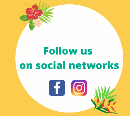 Follow us on social networks
